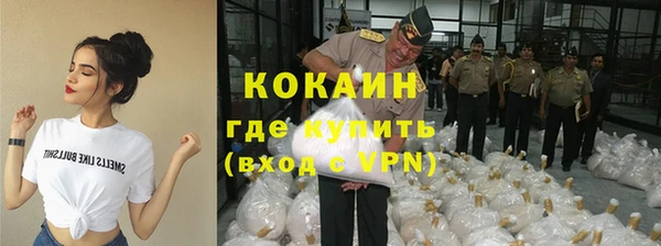 шишки Балабаново