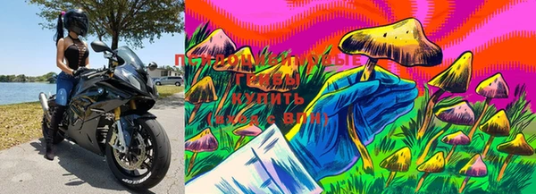 шишки Балабаново