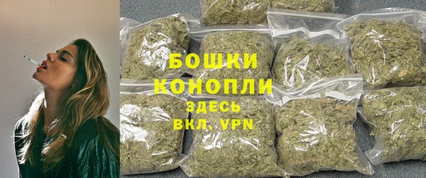 шишки Балабаново