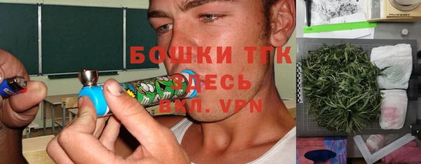 шишки Балабаново