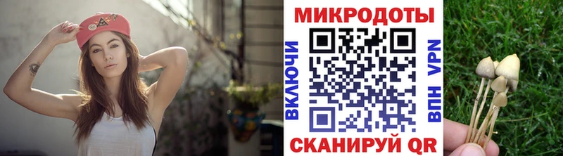 Псилоцибиновые грибы мицелий Городовиковск