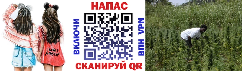 blacksprut сайт  Городовиковск  МАРИХУАНА конопля 